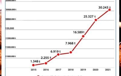 Importante presencia de carne paraguaya en Taiwán.