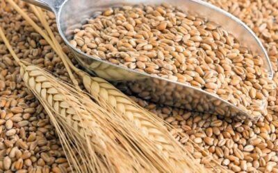 Valores de productos agrícolas.