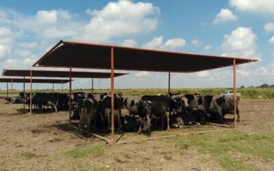 Siguen las recomendaciones por la ola de calor