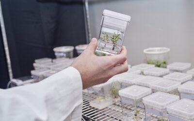 La biotecnología también es útil para luchar contra el cambio climático.