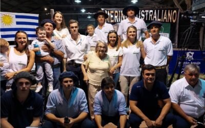 Ventas totales de los Merino Australianos de Los Manantiales.