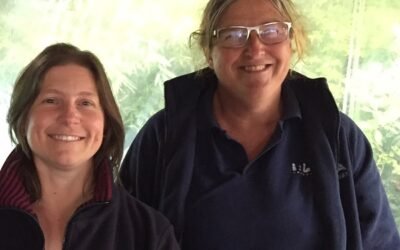 Hay productores que quieren usar el flushing en sus ovejas, pero no saben cómo.