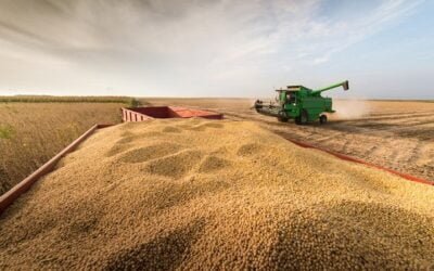 Informe de mercado: Compre hoy pague mañana. Las bolsas descuentan un arreglo comercial.