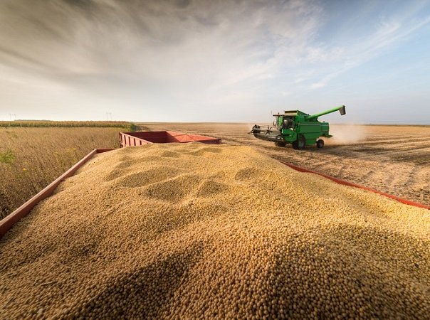Guerra Rusia – Ucrania amenaza el suministro de granos al mundo.