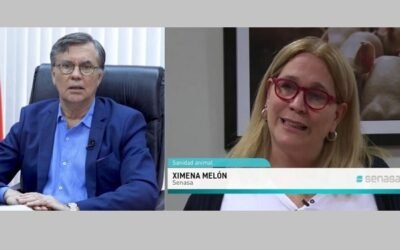 IICA y el Comité Veterinario Permanente del Cono Sur suman fuerza en el concepto de Una Sola Salud.