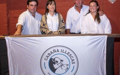 Muy buen remate de cabaña Illescas.