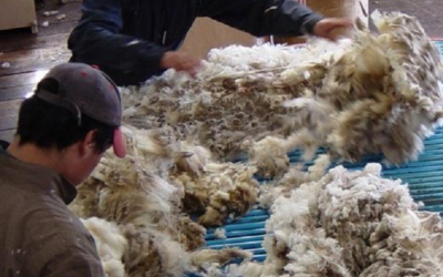 Negocios de lanas en el mercado local.