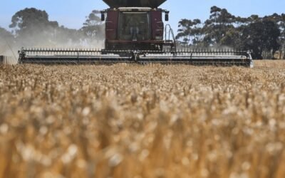 CUSA difundió los nuevos precios de las labores agrícolas.