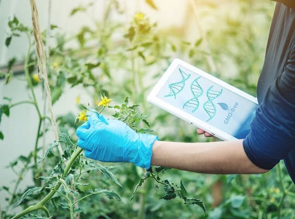 CAS: La biotecnología agropecuaria debe tratarse con rigor científico.