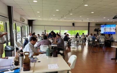 Muy buenas ventas de Pantalla Uruguay que hoy cierra su remate 237.