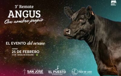 En la Expo Durazno, el viernes salen los Angus con nombre propio.