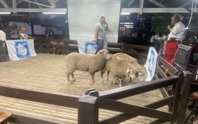 Ventas totales en la Primer Expo Nacional de Ile de France.