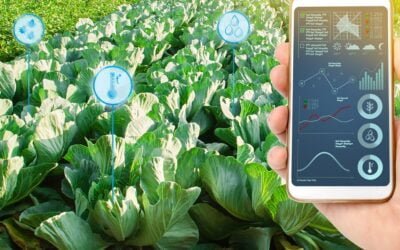 Cómo la IA puede mejorar los sistemas alimentarios y revolucionar la agricultura.