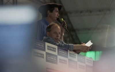 Los terneros promediaron en US$ 410 con Valdez en Molles.