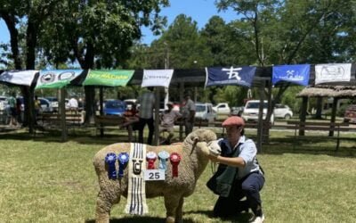 Los ganadores de la Expo Ovina de Melo 2022.