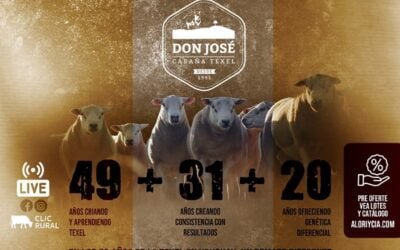 Mañana Alori rematará los Texel de Don José.