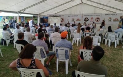 Mattos dijo que “las perspectivas de la avicultura son excelentes”.