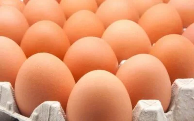 Carámbula dijo que sigue de cerca la llegada de “el rey del huevo” y pidió cautela.