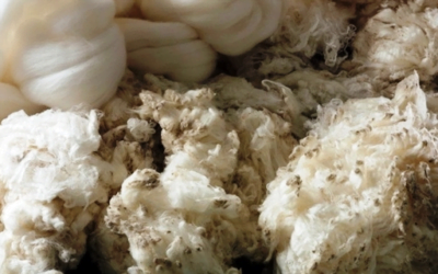 El Indicador del Este subió a US$ 7,43.