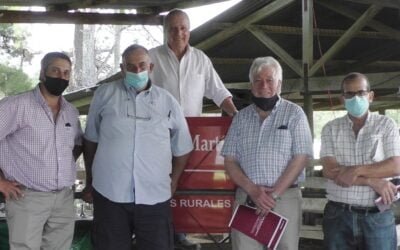 Ideal de El Peñasco, con Juan C Martínez Negocios Rurales, promediaron en US$ 505.