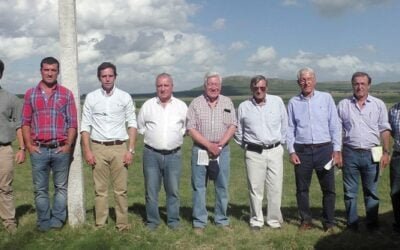 Con colocaciones totales Lomas del Verdún puso fin a cuatro décadas en la cría del Corriedale.