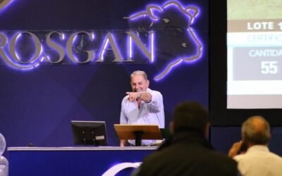 Primer remate Rosgan en la era Milei: subieron todas las categorías entre 64% y 87%.