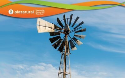 En dos días Plaza Rural rematará más de 13.000 vacunos.