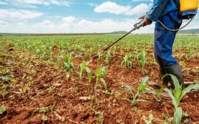 Los insecticidas orgánicos son más dañinos para los insectos no objetivo que sus contrapartes sintéticas.