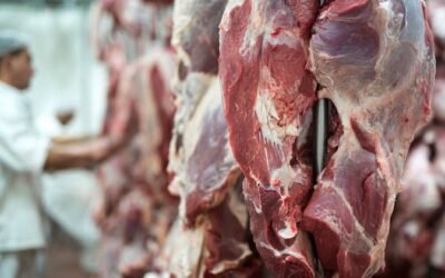Paraguay está a un paso de colocar carne en Estados Unidos.