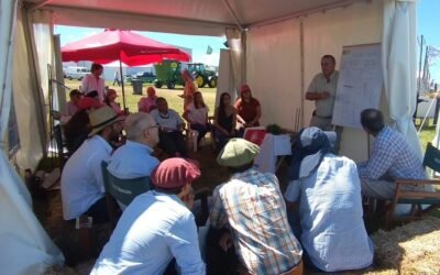 Ing. Perrachón: “Para ser buenos productores de carne, lana o leche, antes hay que serlo de pasto”.