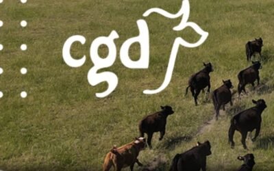 Hoy vence el plazo para inscribirse en el Curso Ganadero del Plan Agropecuario.