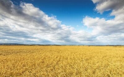 Mattos: El futuro es “investigando y agregando más en biotecnología”.