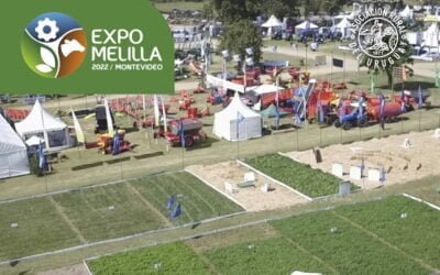 Expo Melilla: DSM y su marca Tortuga presentará soluciones tecnológicas para una nutrición animal rentable y sostenible.