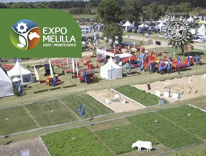 Expo Melilla: DSM y su marca Tortuga presentará soluciones tecnológicas para una nutrición animal rentable y sostenible.