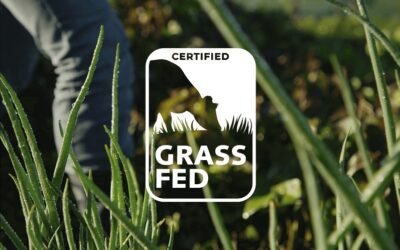 La importancia del pasto y la certificación Gress-Fed de Conaprole.