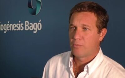 Comenzó nuevo período de vacunación contra la aftosa.