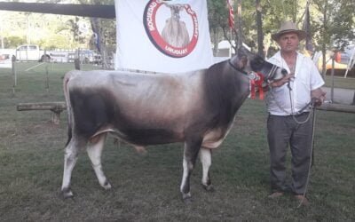 Los premios de la Expo Durazno.