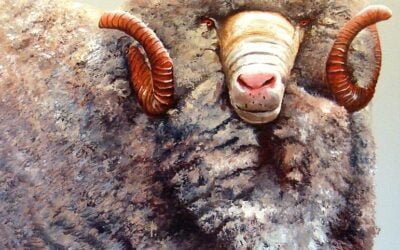 En el Día del Merino, se lució la raza.