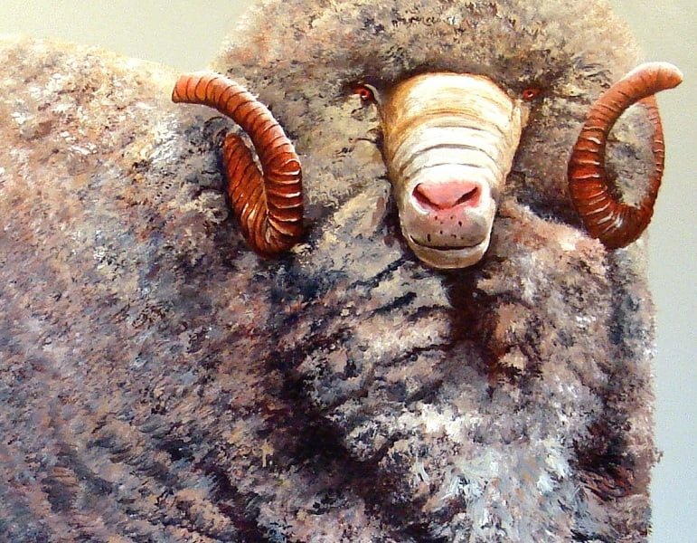 En el Día del Merino, se lució la raza.