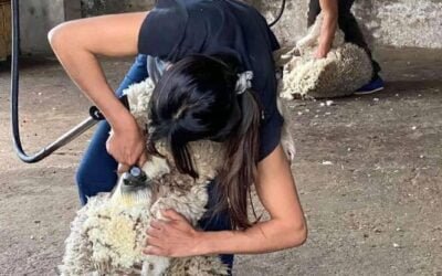 CAF distinguirá labor destacada de mujeres