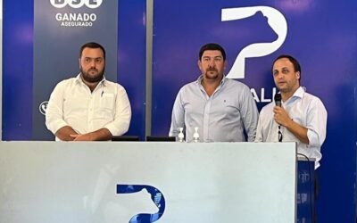 Respondiendo al mercado, Pantalla Uruguay hizo un excelente remate