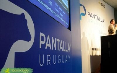 Pantalla Uruguay vendió casi el 98% de la oferta.