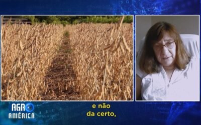 Relación cercana de agricultores y científicos favorecerá producción de alimentos, dijo bioquímica argentina Raquel Chan.