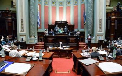 Senado aprobó exoneración del IVA al asado por 30 días.