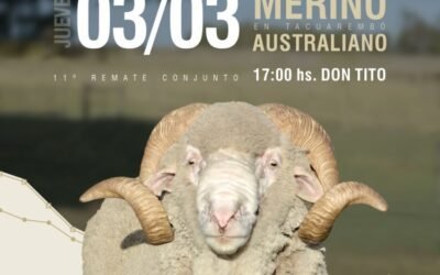 Mañana Valdez remata los ovinos de El Arazá y Petra.