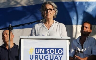 Un Solo Uruguay reiteran denuncias por ataques de jaurías a ovejas.