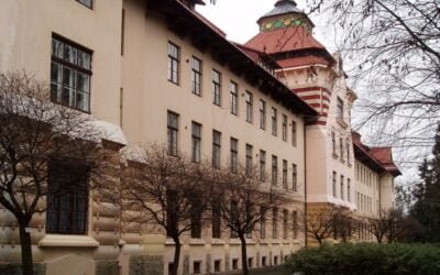 IICA abre las puertas a mujeres profesionales de Ucrania con el programa de pasantías.