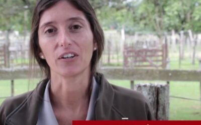 Aftosa. El Plan Agropecuario realizó recomendaciones para una correcta vacunación.