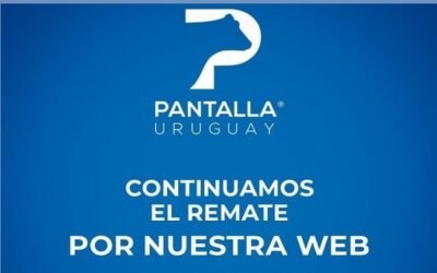 Pantalla Uruguay vendió toda la oferta de ayer, las ventas siguen hoy desde las 09.00 horas.