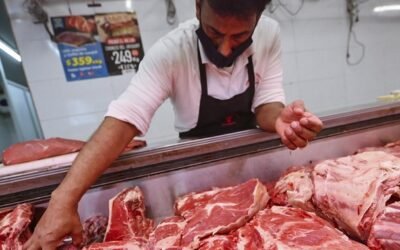 INAC devolverá costos de interés a carnicerías y pollerías que para adecuar locales pidan préstamos al BROU.